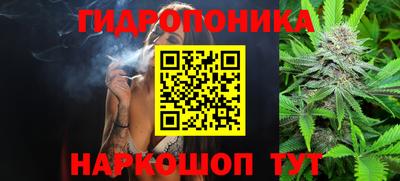стаф Рязань