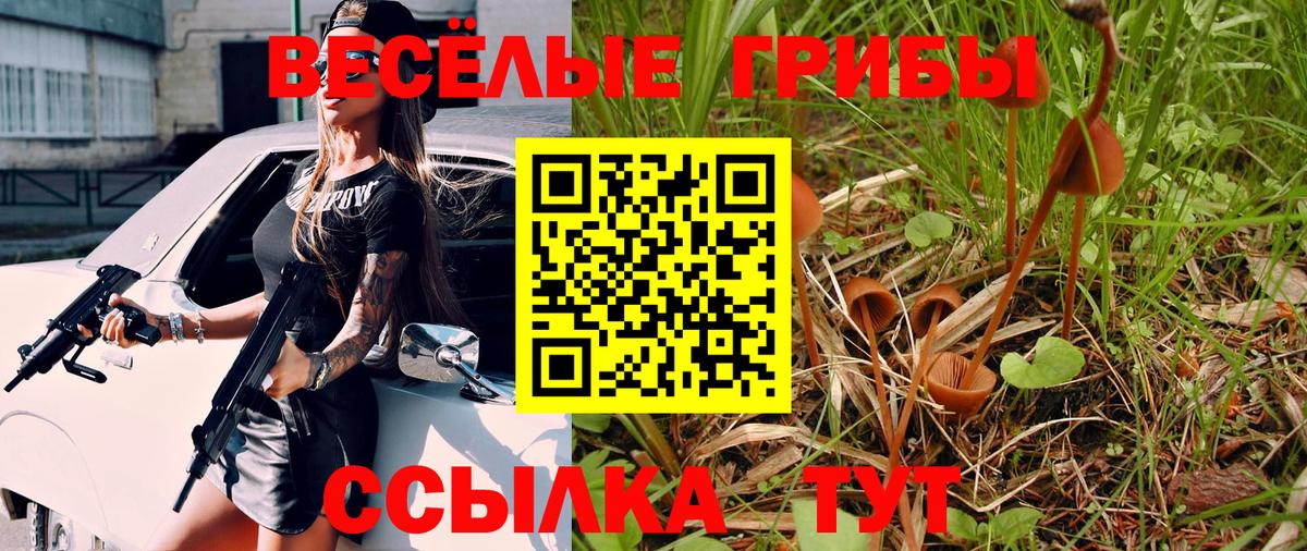 Галлюциногенные грибы Psilocybe  Вход с VPN  Ревда  Псилоцибиновые грибы прущие грибы 