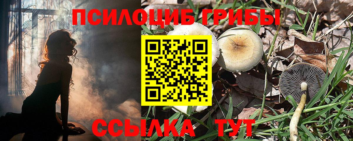 Псилоцибиновые грибы ЛСД Ревда